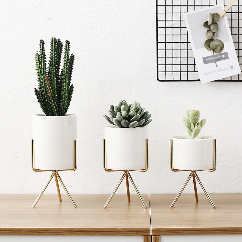 White succulent plant pot and metal stand in three sized and stand finishes