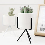 White planter pot with the choice of gold, white or black metal stand. 