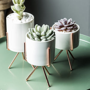White succulent plant pot and metal stand in three sized and stand finishes for home or office decor.